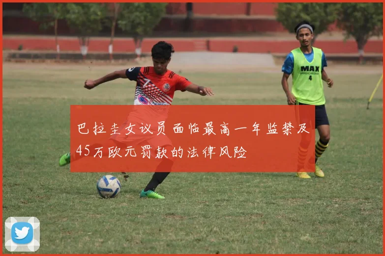 巴拉圭女议员面临最高一年监禁及45万欧元罚款的法律风险