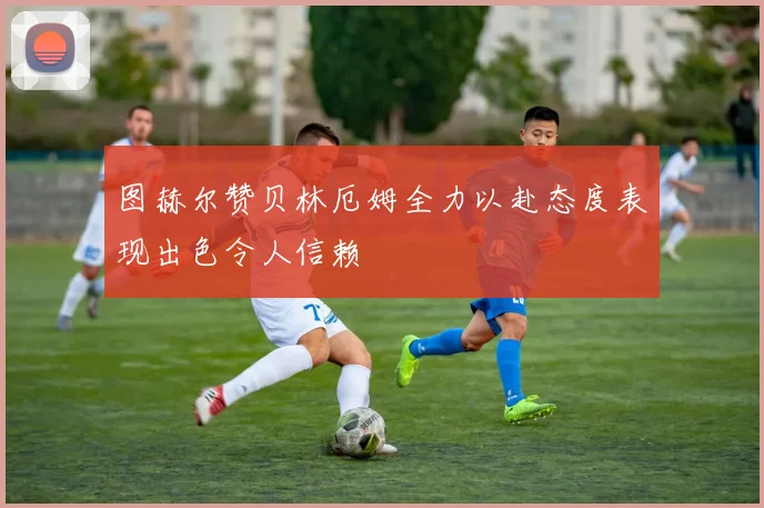 图赫尔赞贝林厄姆全力以赴态度表现出色令人信赖